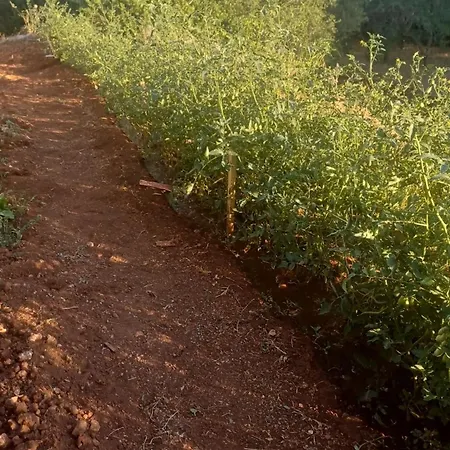 Puglia Sole Relax Waveproperties 아파트 마르티나프란카